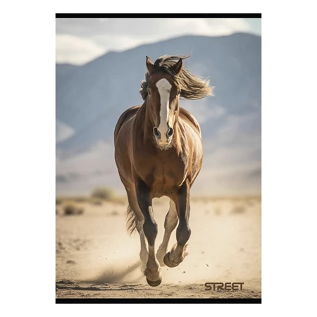 Füzet A/4 kockás STREET 54 lapos Horses 1db, minta nem választható