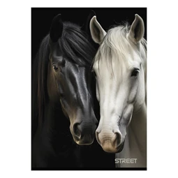 Füzet A/4 kockás STREET 54 lapos Horses 1db, minta nem választható