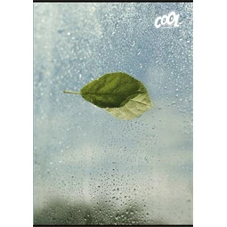 Füzet A/4 sima COOL BY VICTORIA 80 lap "Green Calm"