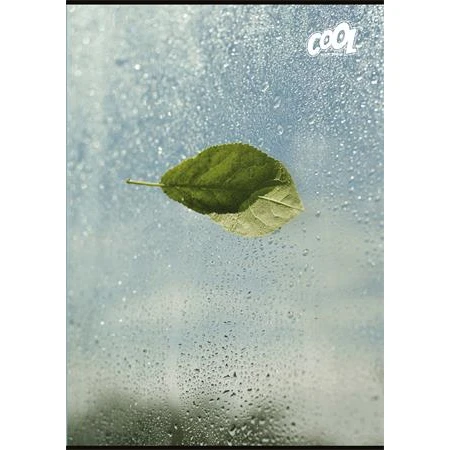 Füzet A/4 sima COOL BY VICTORIA 80 lap "Green Calm"