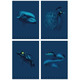 Füzet A/4 vonalas PIGNA 38 lapos Monocromo Blue vegyes, minta nem választható