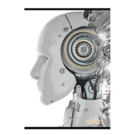 Füzet A/4 vonalas STREET 54 lapos AI margóval