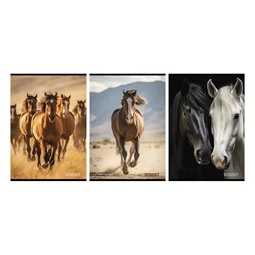 Füzet A/4 vonalas STREET 54 lapos Horses margóval, minta nem választható