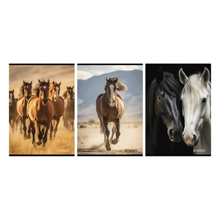 Füzet A/4 vonalas STREET 54 lapos Horses margóval, minta nem választható