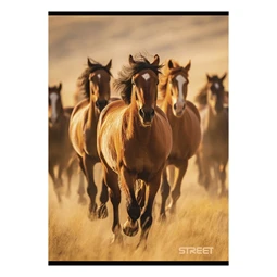Füzet A/4 vonalas STREET 54 lapos Horses margóval, minta nem választható