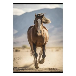 Füzet A/4 vonalas STREET 54 lapos Horses margóval, minta nem választható