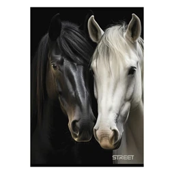 Füzet A/4 vonalas STREET 54 lapos Horses margóval, minta nem választható