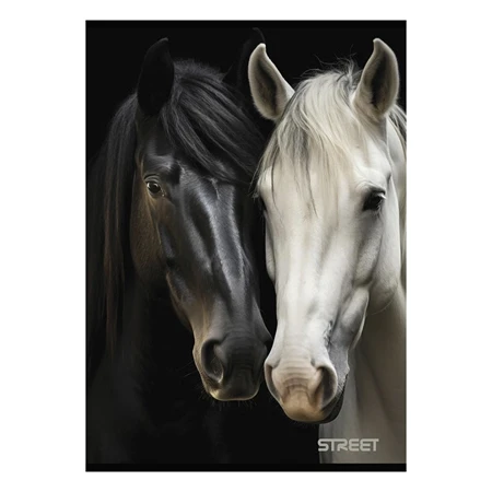 Füzet A/4 vonalas STREET 54 lapos Horses margóval, minta nem választható