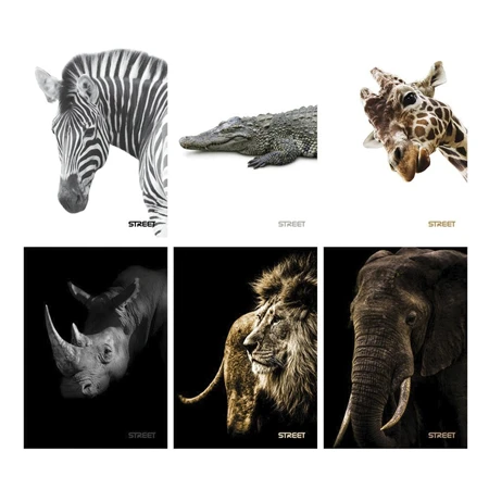 Füzet A/5 kockás STREET 54 lapos Safari