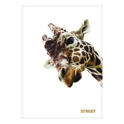 Füzet A/5 kockás STREET 54 lapos Safari