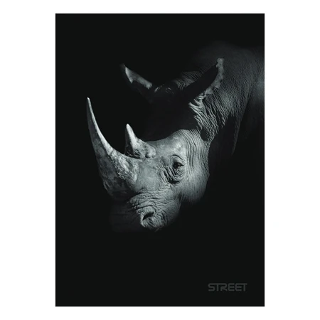 Füzet A/5 kockás STREET 54 lapos Safari