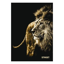 Füzet A/5 kockás STREET 54 lapos Safari