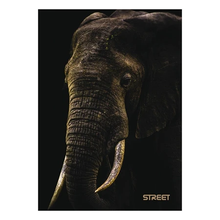 Füzet A/5 kockás STREET 54 lapos Safari