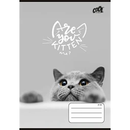 Füzet A/5 vonalas COOL BY VICTORIA 32 lap, 4-8. osztály, "Cats Forever" 21-32