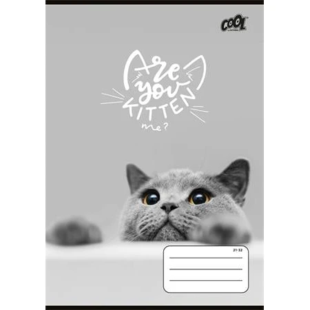 Füzet A/5 vonalas COOL BY VICTORIA 32 lap, 4-8. osztály, "Cats Forever" 21-32