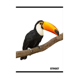 Füzet A/5 vonalas STREET 54 lapos Safari margóval
