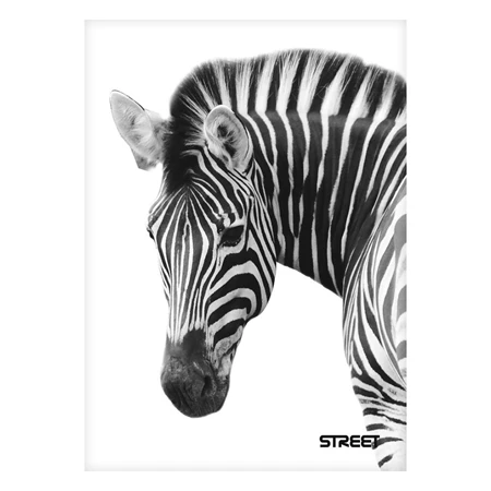 Füzet A/5 vonalas STREET 54 lapos Safari margóval