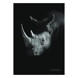 Füzet A/5 vonalas STREET 54 lapos Safari margóval