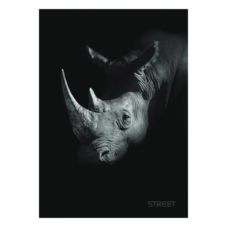 Füzet A/5 vonalas STREET 54 lapos Safari margóval