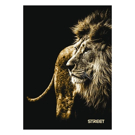 Füzet A/5 vonalas STREET 54 lapos Safari margóval
