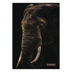 Füzet A/5 vonalas STREET 54 lapos Safari margóval
