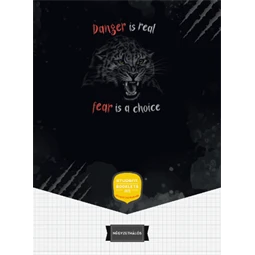 Füzet A/4 kockás ICO STUDENT ART 32lap 81-32 többfajta borító mintával, szín nem választható