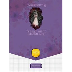 Füzet A/4 kockás ICO STUDENT ART 32lap 81-32 többfajta borító mintával, szín nem választható