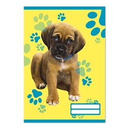 Füzet A/5 sima PD 32 lapos Colores Cute Animals 20-32 vegyes, minta nem választható