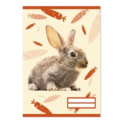 Füzet A/5 sima PD 32 lapos Colores Cute Animals 20-32 vegyes, minta nem választható