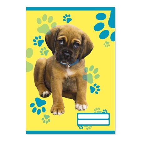 Füzet A/5 sima PD 32 lapos Colores Cute Animals 20-32 vegyes, minta nem választható