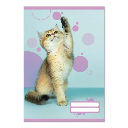 Füzet A/5 sima PD 32 lapos Colores Cute Animals 20-32 vegyes, minta nem választható