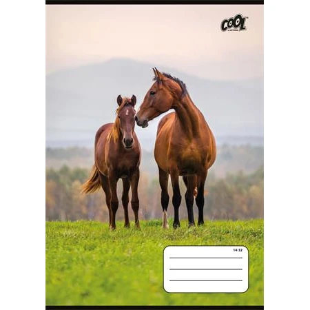 Füzet, tűzött, A5, vonalas, 32 lap, 1. osztály, COOL BY VICTORIA "Free Spirit" 14-32