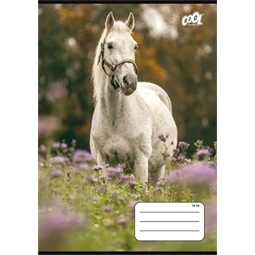 Füzet, tűzött, A5, vonalas, 32 lap, 1. osztály, COOL BY VICTORIA "Free Spirit" 14-32
