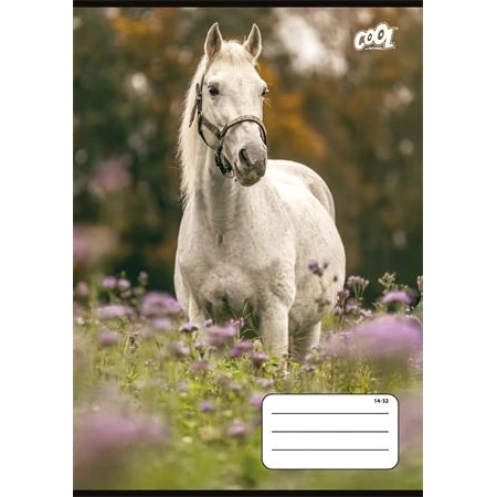 Füzet, tűzött, A5, vonalas, 32 lap, 1. osztály, COOL BY VICTORIA "Free Spirit" 14-32