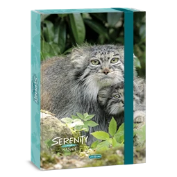 Füzetbox A/4 ARS UNA Serenity-Manul