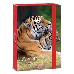 Füzetbox A/4 ARS UNA Serenity-Tiger