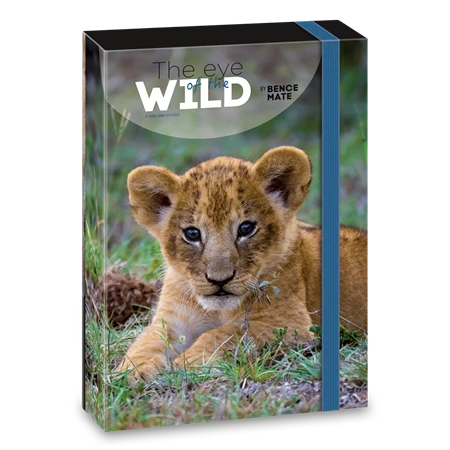 Füzetbox A/4 ARS UNA The Eyes of the Wild - Lion