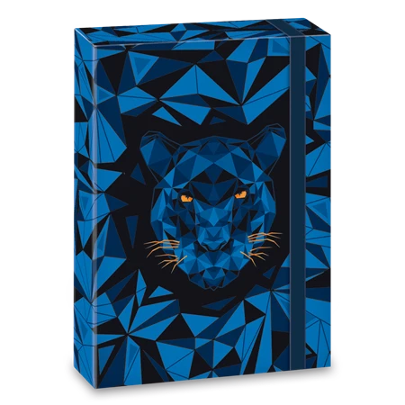 Füzetbox A/5 ARS UNA Black Panther Tigris