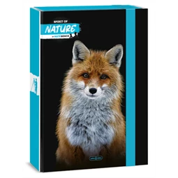 Füzetbox A/4 ARS UNA Máté Bence-Fox