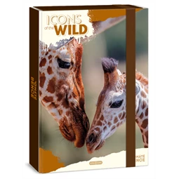Füzetbox A/4 ARS UNA Máté Bence-Icons of the Wild-Giraffes