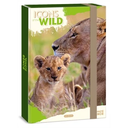 Füzetbox A/4 ARS UNA Máté Bence-Icons of the Wild-Lions