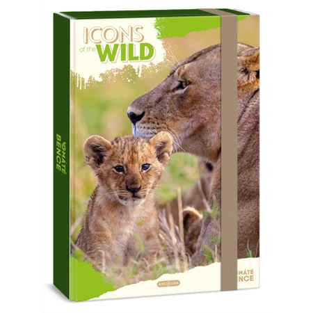 Füzetbox A/4 ARS UNA Máté Bence-Icons of the Wild-Lions