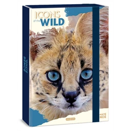 Füzetbox A/4 ARS UNA Máté Bence-Icons of the Wild-Serval