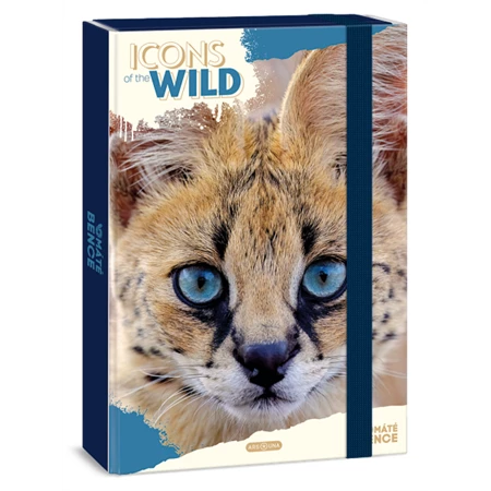 Füzetbox A/4 ARS UNA Máté Bence-Icons of the Wild-Serval