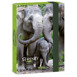 Füzetbox A/5 ARS UNA Serenity-elephant
