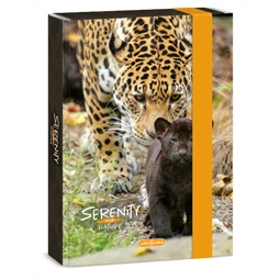 Füzetbox A/5 ARS UNA Serenity-jaguar