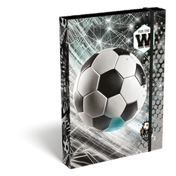Füzetbox A/5 LIZZYSULI Top League FTW