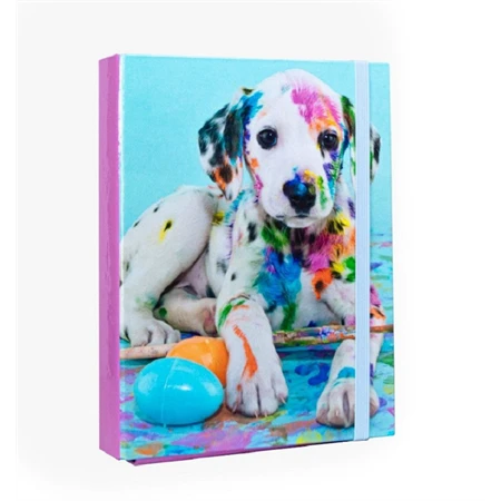Füzetbox A/5 NEBULO Dalmata