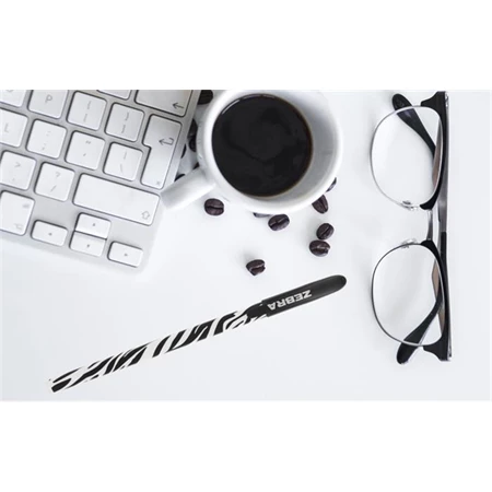 Golyóstoll Zebra Doodlerz Animal 10 db-os kék tinta, vegyes minta, 1db