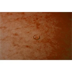 Gumis mappa A/4 EXACOMPTA karton prespán, narancssárga